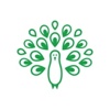 Virtue Analytics Logo