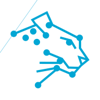 Softlite Solutions Logo