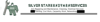 Silver Star Handyman Dubai Logo