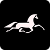 Ashford South Logo