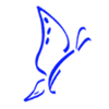Web Design by Galileo Logo
