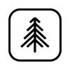 Black Pine Digital Logo