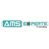 AMS Experts IT Consulting Logo