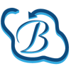Bhavitra Technologies Private Limited Logo