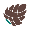 Pine Technologies Logo