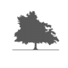 Fairview Estates Logo