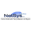 NetSys Interactive Inc Logo