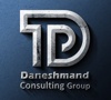 Daneshmand Consulting Group Logo