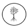 New Revenue Consulting Logo