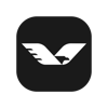 Elevated Impact Logo