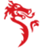 Dragon Sourcing Logo