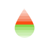 RainierDigital Logo