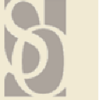Source One International Inc Logo