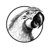 P&P Studios Audio-Agentur Logo