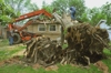 affordable tree removal Logo