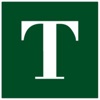 Theory Consulting LLC Logo