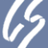 Levin, Spinnett & Company, LLP Logo