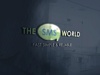 The Sms World  - Best Digital Marketing Company in Chandigarh Logo