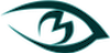 M-Vision, Inc Logo