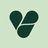 MVP Studio | Verticode Logo