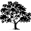 7Alder Logo