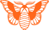 The Silk Initiative Logo