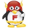 Flash Technology Group LLC. Logo