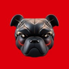Playnance Logo