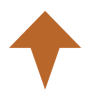 Leadershyft Logo
