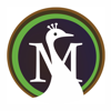 Moreweb Solutions Logo