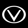 Vizzyness Logo