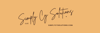 Simply Cy Solutions LLC - Notary Logo