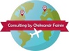 Consulting by Oleksandr Fainin Logo