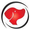 MoxDog Media Solutions Logo