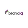 Brand IQ Inc. Logo