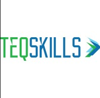TEQSKILLS Logo