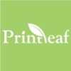 Printleaf Logo
