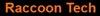 Raccoon Tech Logo