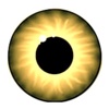 Webvisibility Logo