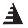 Precision Managed Technology Solutions Logo