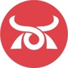 Ronin Data Solutions Logo