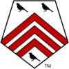 SingTone Technologies Logo