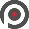 Precision Sports & Entertainment Group Logo