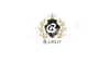 Ramlit Limited Logo