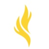 Ignite B2B Growth Logo