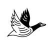 Leadenhall Search & Selection Logo