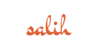 Digital Marketing Consultant in Kerala - salihvp Logo