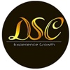 Digital Strategy Consultants Logo