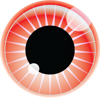 Freshmarkom - #1 Société de développement Web Logo
