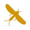 Yellow Drake Consulting, LLC Logo